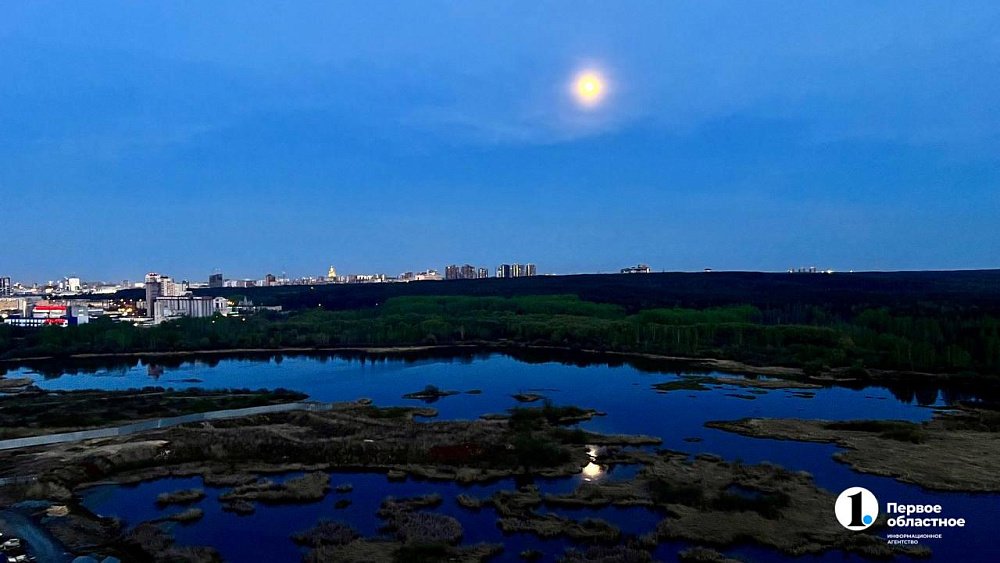 Жители Челябинской области смогут увидеть последний летний звездопад