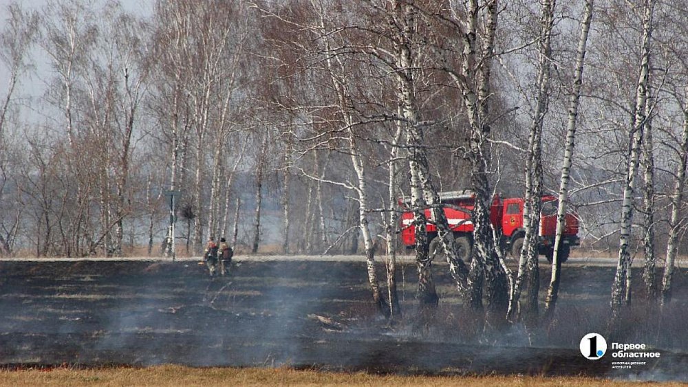 В Челябинской области объявили оранжевый уровень пожарной опасности