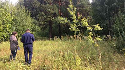 В мэрии Челябинска заявили, что передали землю под застройку в городском бору законно