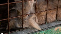 Настоятель Покровского храма превратил заброшенный пустырь в любимое место отдыха копейчан