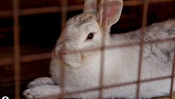 Настоятель Покровского храма превратил заброшенный пустырь в любимое место отдыха копейчан