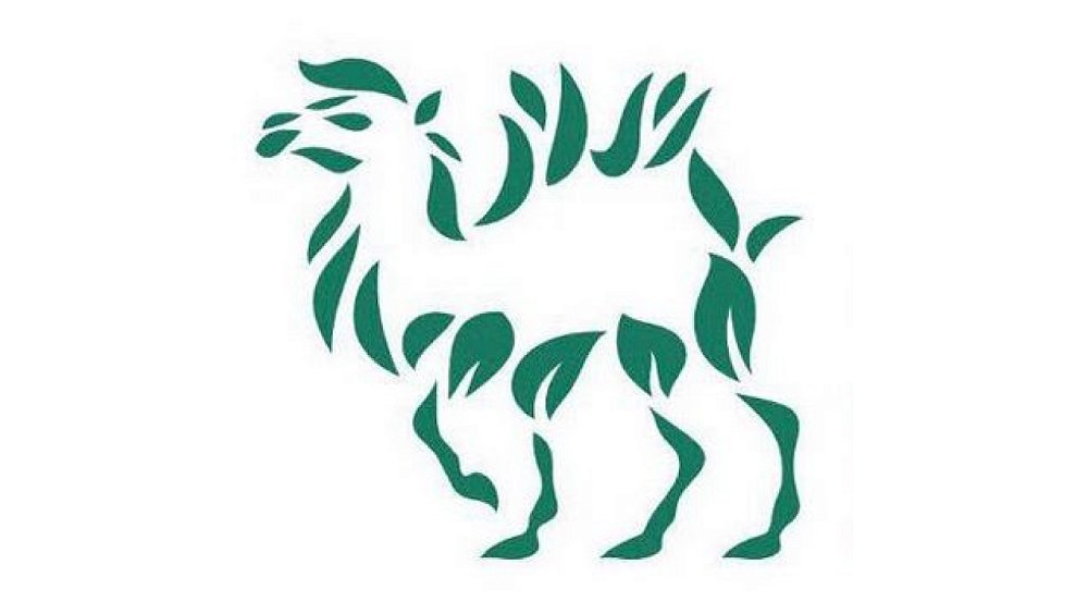 Символом детского экофорума в Челябинске стал зеленый верблюжонок