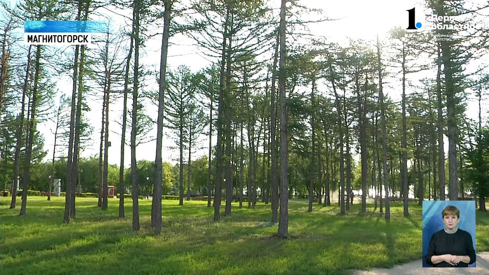 Парки и скверы Магнитогорска обрабатывают от клещей