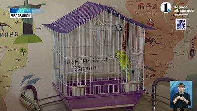 Стоит ли заводить питомцев при аллергии?