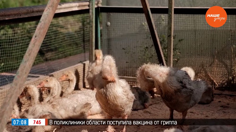 Посёлок Садовый в рубрике «Из города в деревню»