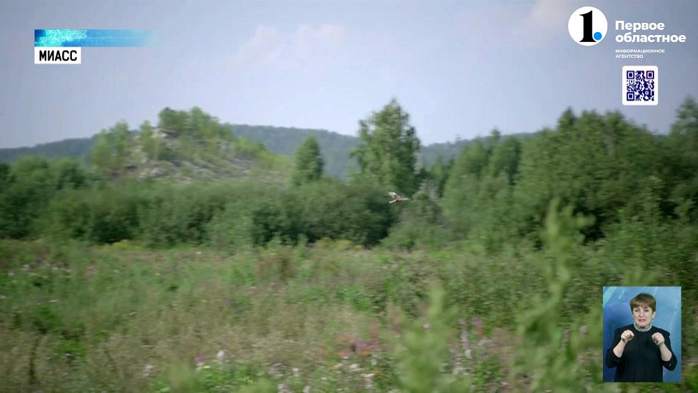 В Миассе возведут Экотехнологический парк