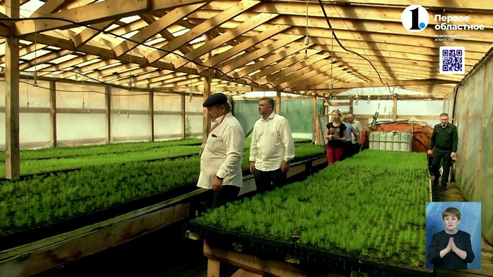 Депутаты оценили восстановление лесов в Верхнеуральском районе