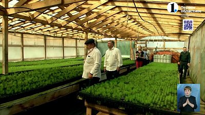 Депутаты оценили восстановление лесов в Верхнеуральском районе