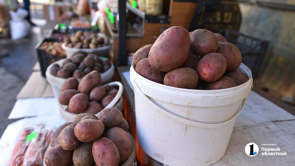 В Челябинской области собирают овощи для сухих супов для бойцов СВО