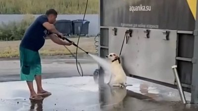 Челябинцы пожаловались на мужчину, который мыл собаку на автомойке