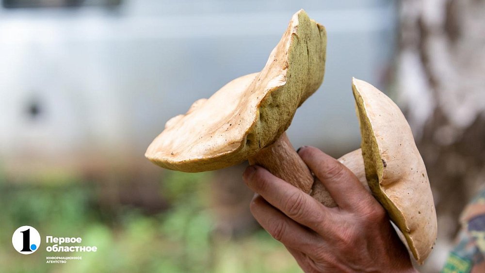 В горах Челябинской области двое суток искали 78-летнего грибника