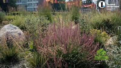 Цветники «Новой волны»