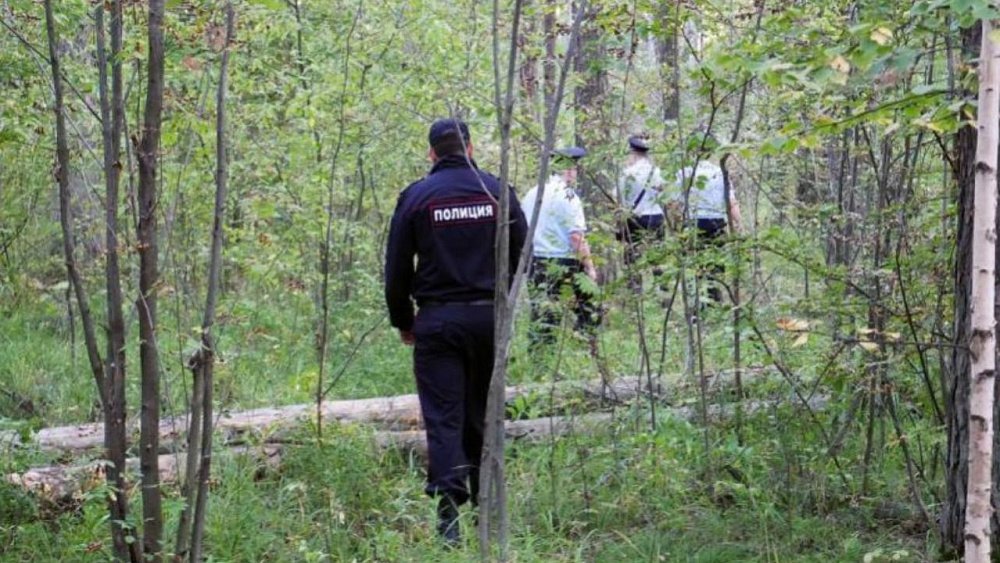 В Кусинском районе три гостьи из Варны потерялись во время сбора грибов