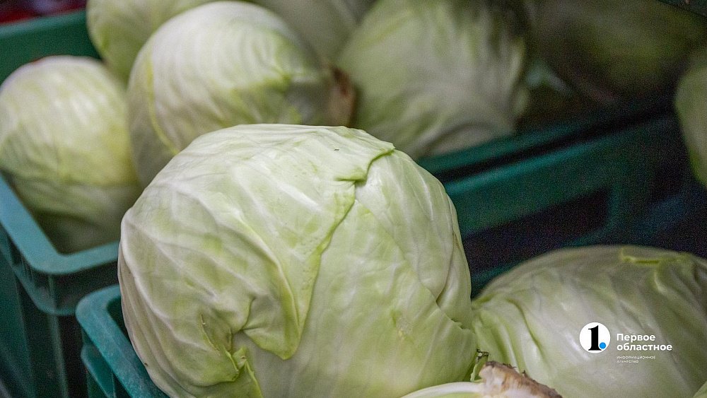 Под Челябинском открывают крупный фермерский рынок