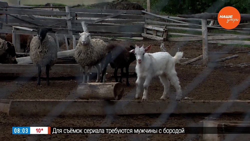 Личное подсобное хозяйство «Лукошко» в рубрике «Из города – в деревню»