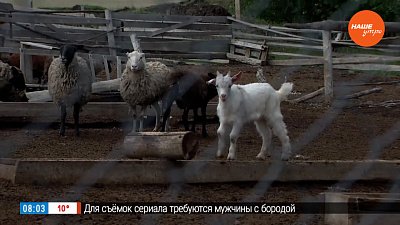 Личное подсобное хозяйство «Лукошко» в рубрике «Из города – в деревню»