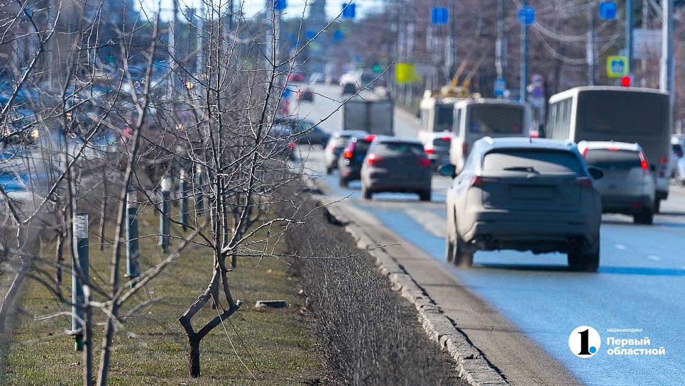 Более 250 сухостойных деревьев вырубят в Челябинске до конца лета