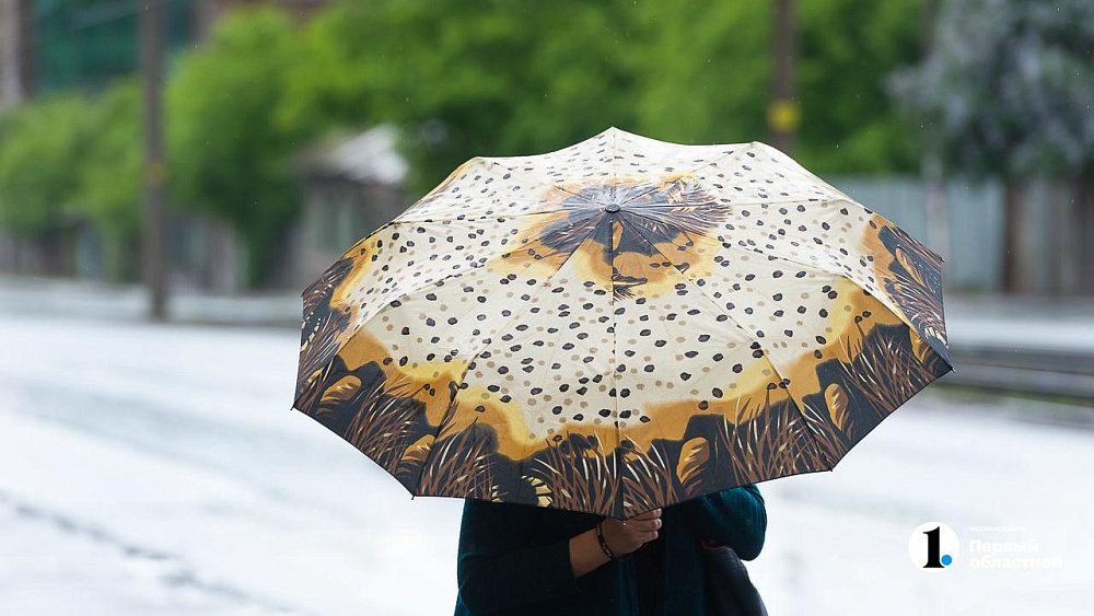 В Челябинске ожидается дождливая погода