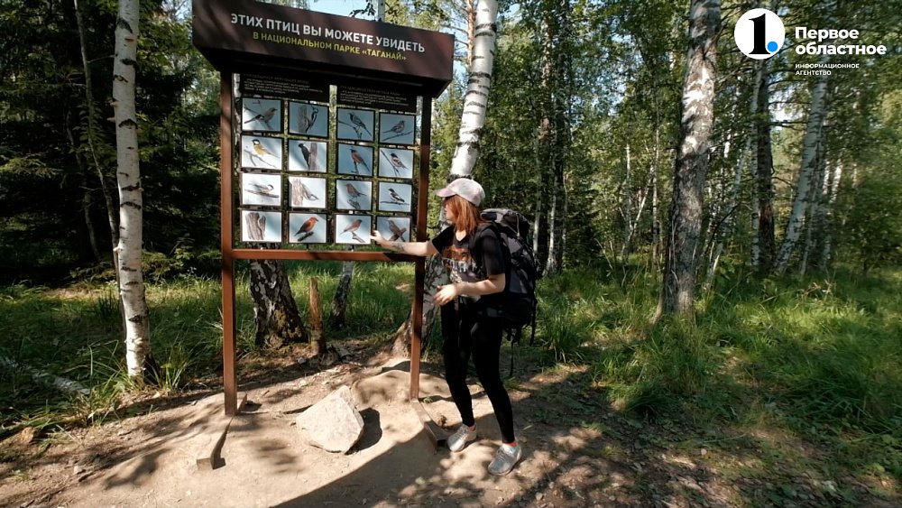 Два маршрута за один поход: чем удивит вас Семибратка и Александровская сопка? — «Обмани Дарвина»