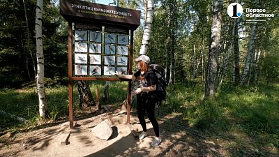 Два маршрута за один поход: чем удивит вас Семибратка и Александровская сопка? — «Обмани Дарвина»