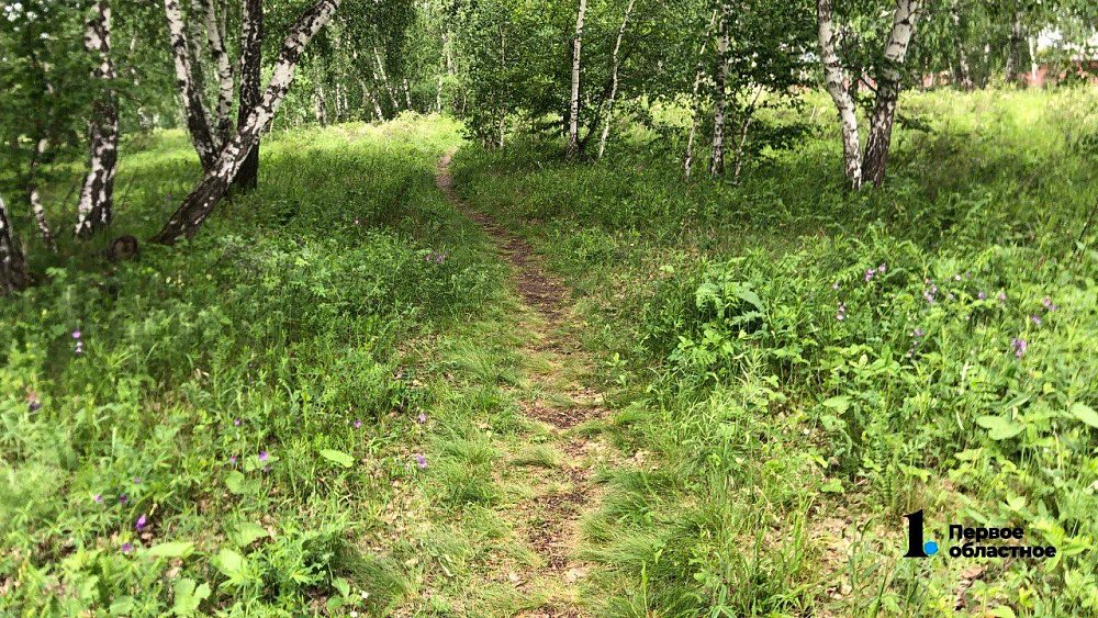 Семья с трехлетним ребенком заплутала в лесах под Миассом