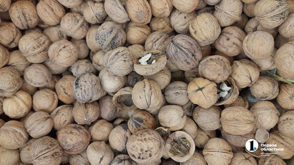 Ореховый Спас: традиции и запреты праздника