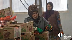 Продукцией местных фермеров начали торговать на крупном рынке под Челябинском