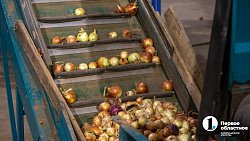 Продукцией местных фермеров начали торговать на крупном рынке под Челябинском