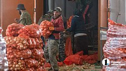 Продукцией местных фермеров начали торговать на крупном рынке под Челябинском