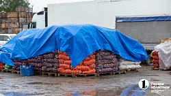 Продукцией местных фермеров начали торговать на крупном рынке под Челябинском