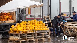 Продукцией местных фермеров начали торговать на крупном рынке под Челябинском