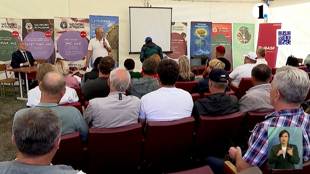 Аграрии рассказали о новых сортах масличных