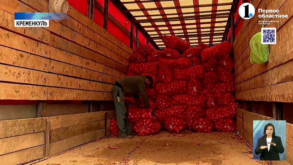 Продавцы овощей и фруктов переехали с рынка «Караван» на новое место