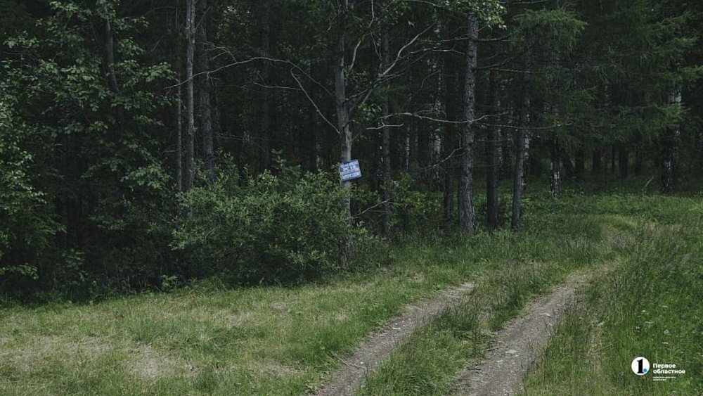 В Челябинской области третьи сутки ищут уехавшего в магазин 82‑летнего пенсионера