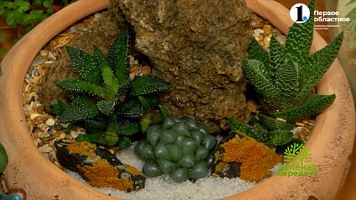 Зимой вспомним про отпуск на море