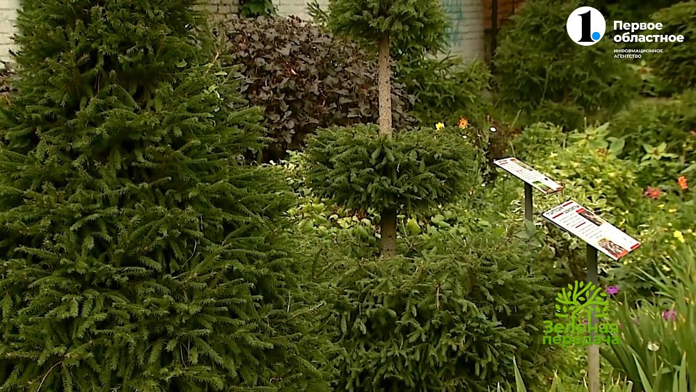 Цветник в старинной школе по современным канонам