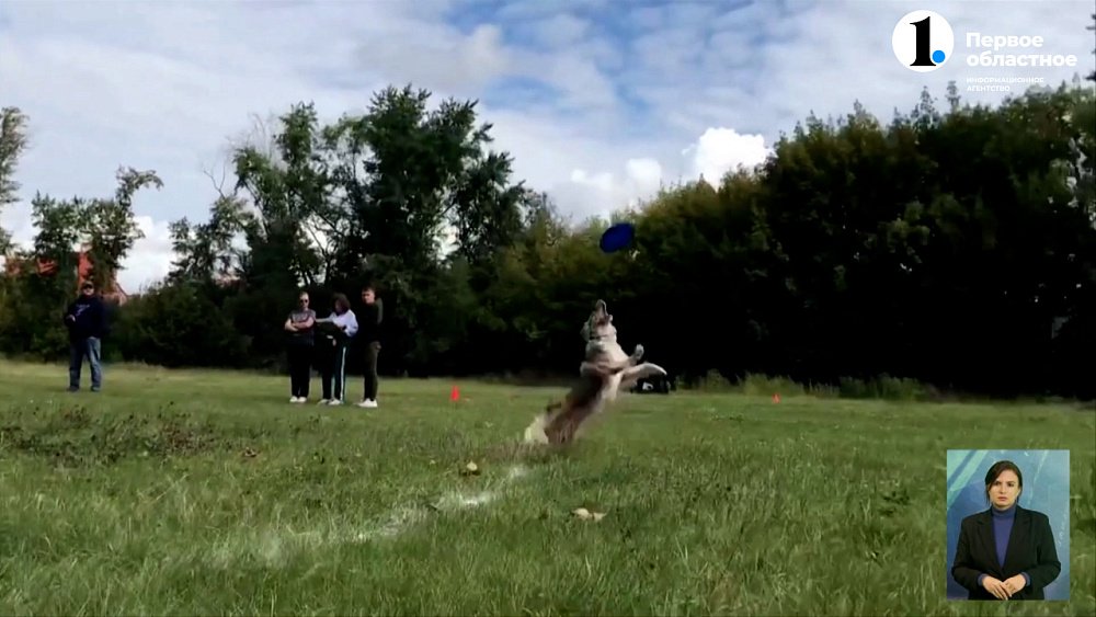 В Челябинске прошли соревнования по дог-фризби