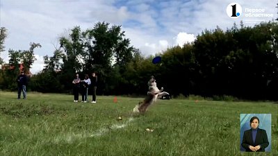 В Челябинске прошли соревнования по дог-фризби