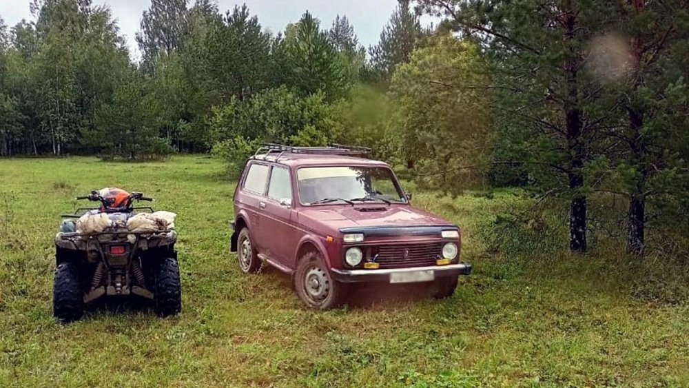 В Челябинской области уехавший за грибами пенсионер скончался в своей машине