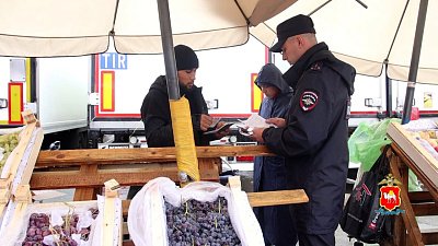 В Сосновском районе полицейские провели рейд по мигрантам на рынке