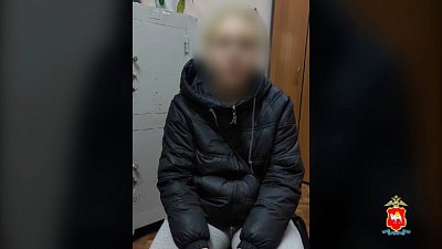 В Снежинске задержали девушку-курьера, участвующую в мошеннической схеме