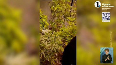 В Озёрске полицейские прервали наркоцепочку