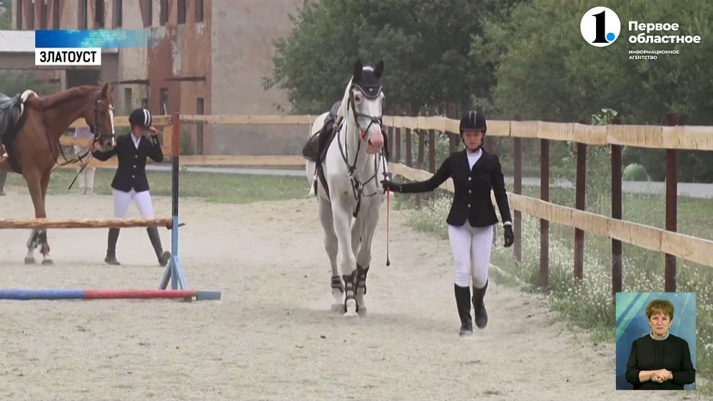 В Златоусте лошади помогают особенным детям