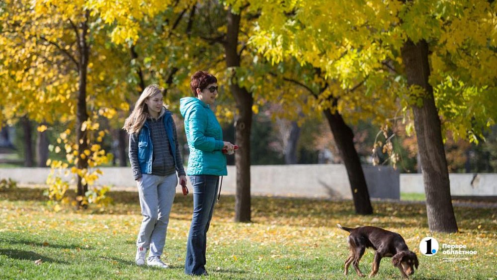 В Челябинскую область на этой неделе придет бабье лето