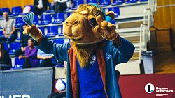 Волейбольный клуб «Динамо-Метар» с поражения стартовал в Кубке 100‑летия