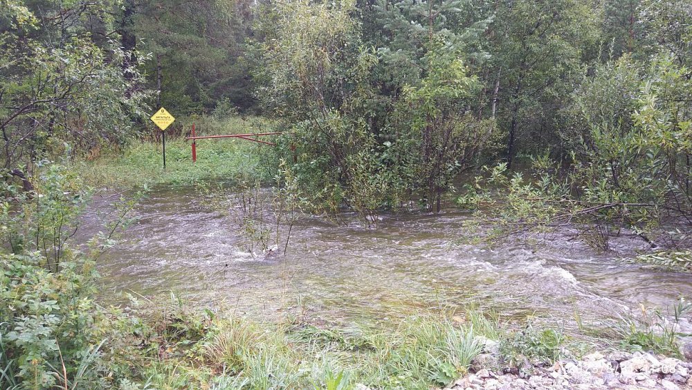 Реки на Зигальге превратились в мощные потоки