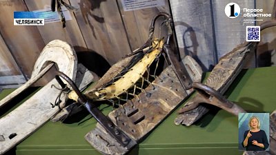 Человек и лошадь. История длиной в 40 тысяч лет