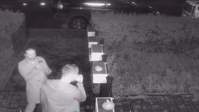 Двое магнитогорцев в ночи погрызли декоративные тыквы