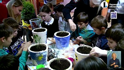 Дети посадили деревья в реабилитационном центре