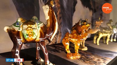 Исторический музей готовит экспозицию в сюжете «Выставка верблюдов»